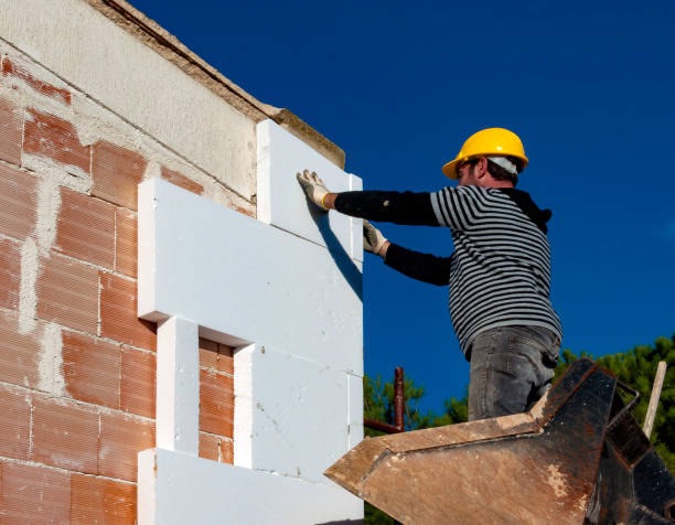 Best Blown-in Insulation in Hodgkins, IL