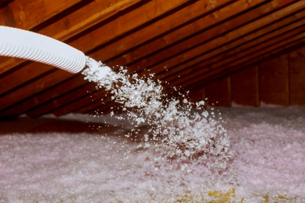 Best Eco-Friendly Insulation in Hodgkins, IL