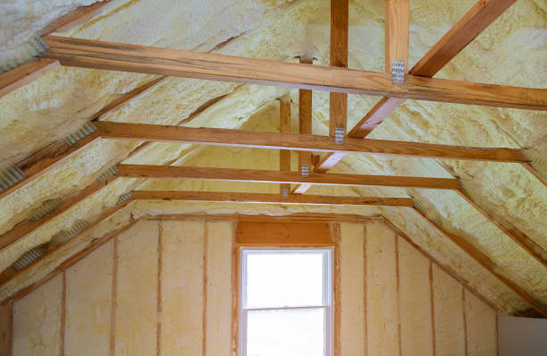 Best Energy Efficiency Insulation in Hodgkins, IL
