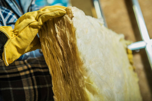 Best Cellulose Insulation in Hodgkins, IL