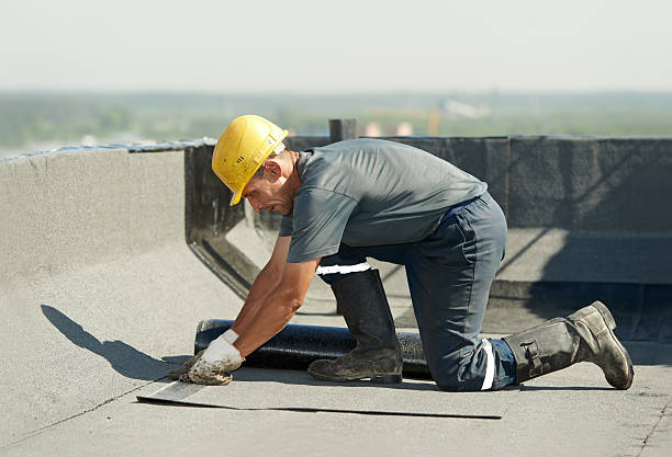 Best Geographic-Specific Insulation Services in Hodgkins, IL