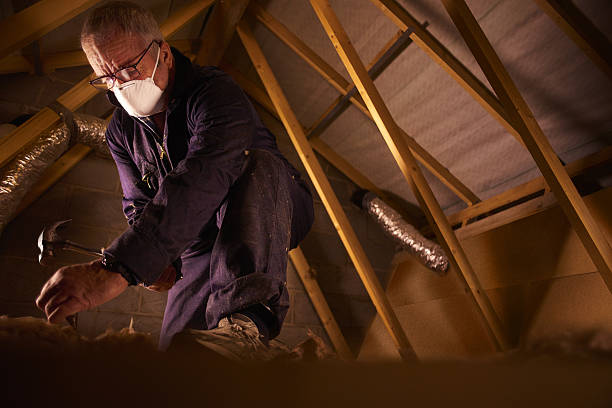 Trusted Hodgkins, IL Insulation Contractor Experts